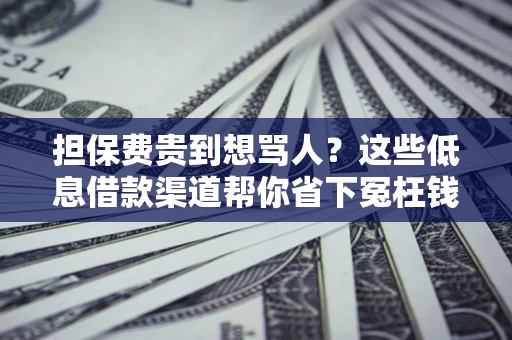 济南担保费贵到想骂人？这些低息借款渠道帮你省下冤枉钱