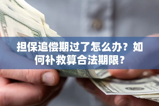 济南担保追偿期过了怎么办？如何补救算合法期限？