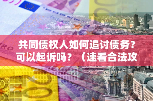 济南共同债权人如何追讨债务？可以起诉吗？（速看合法攻略）